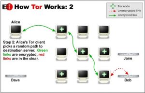 Что это за программа tor browser mega2web включить java в tor browser мега