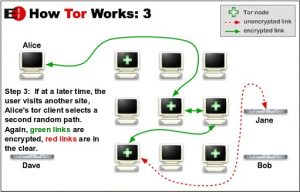 что это за программа tor browser mega2web