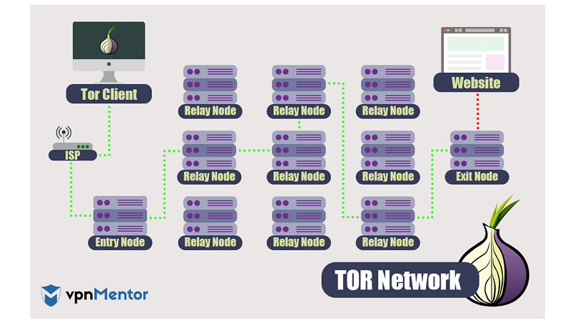 Use the tor browser мега как смотреть фильмы в тор браузере mega
