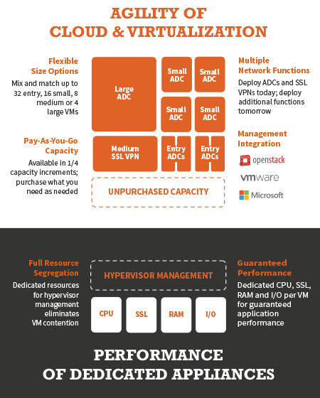 Array Networks AVX