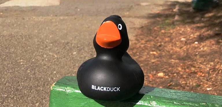 Black Duck