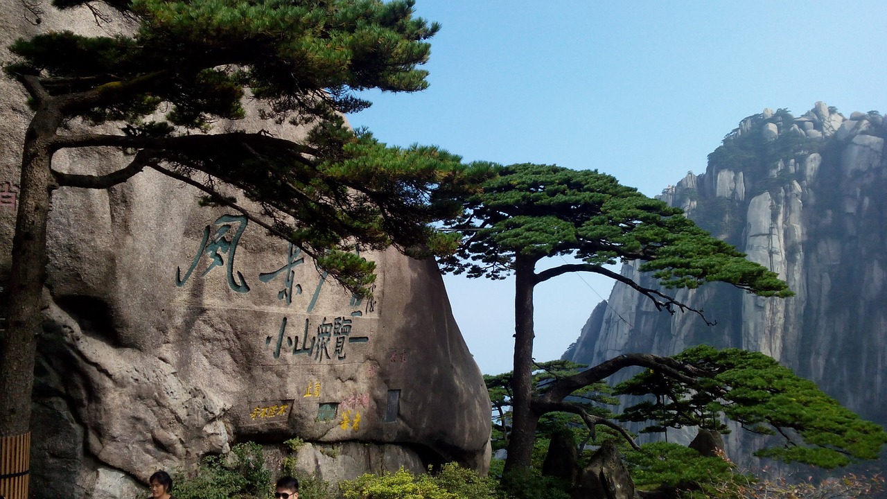 Welcoming Guests Pine Huangshan