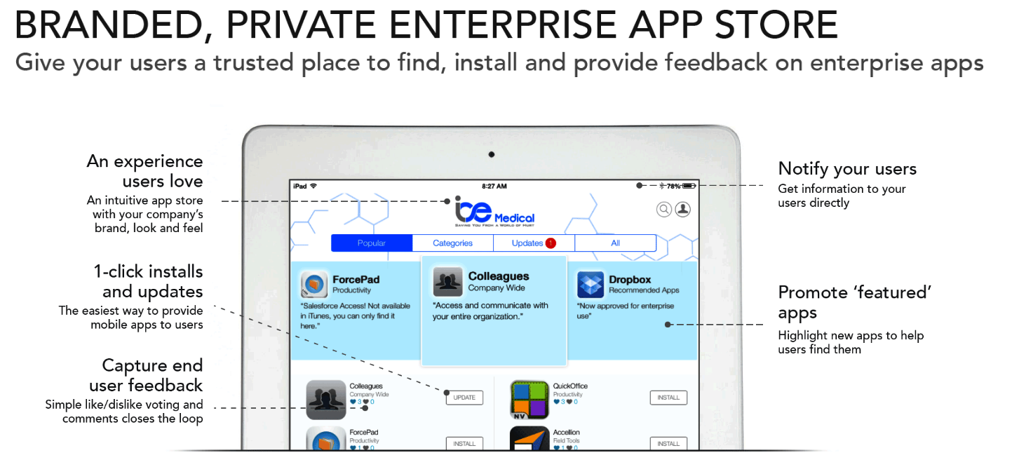 Apperian app store