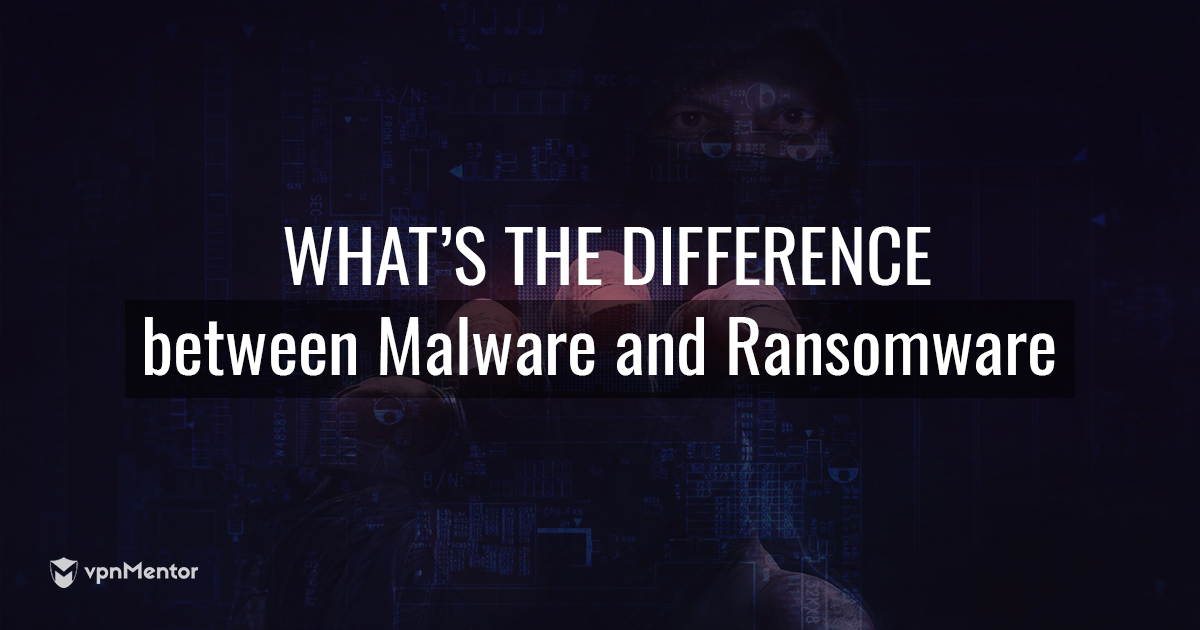 Virus vs Malware vs Ransomware: What's the Difference in 2023?