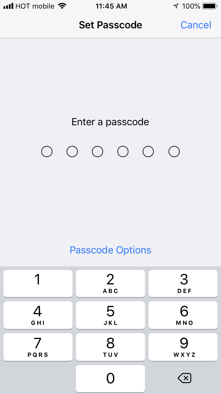 Passcode options