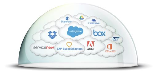 CipherCloud platform bubble