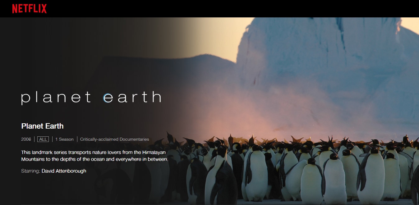 A screenshot of Planet Earth on Netflix.