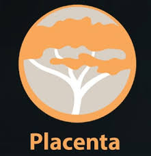 Placenta Kodi