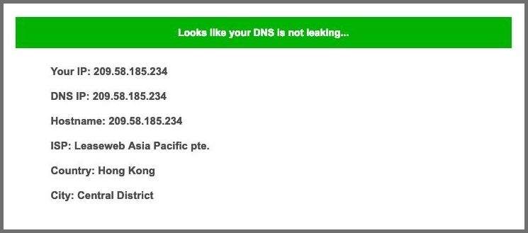 DNS leak test