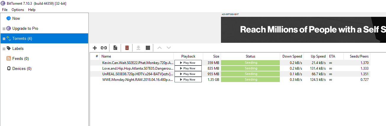 BitTorrent interface