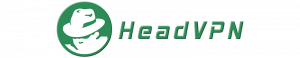 Vendor Logo of HeadVPN