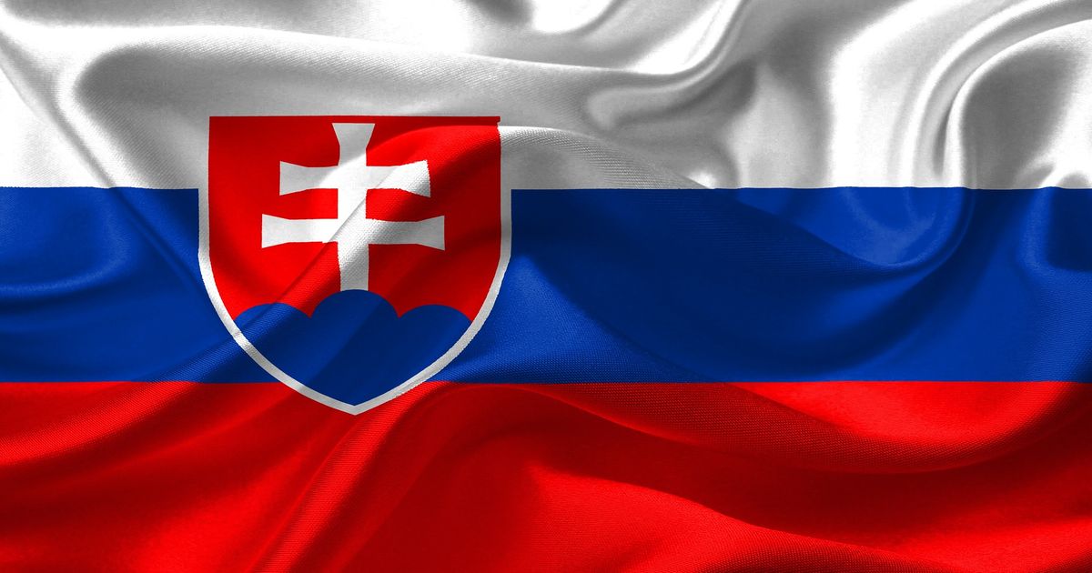 Slovakia's Flag