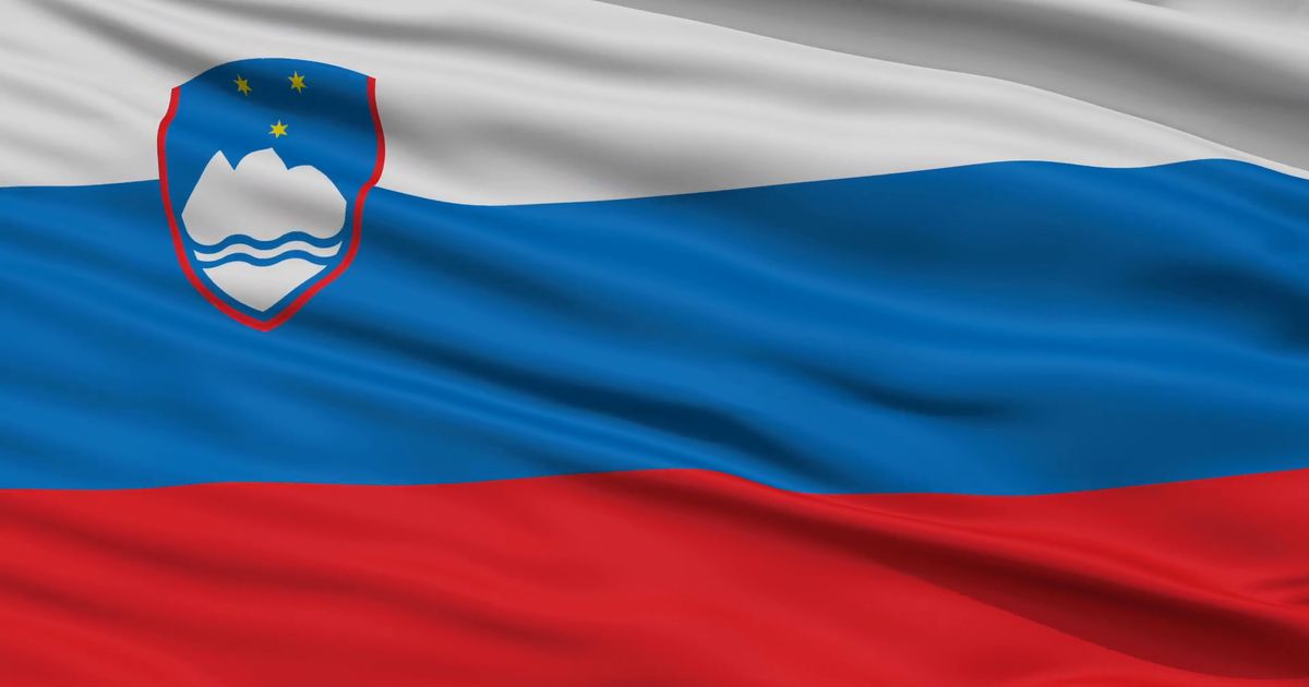 Slovenian Flag