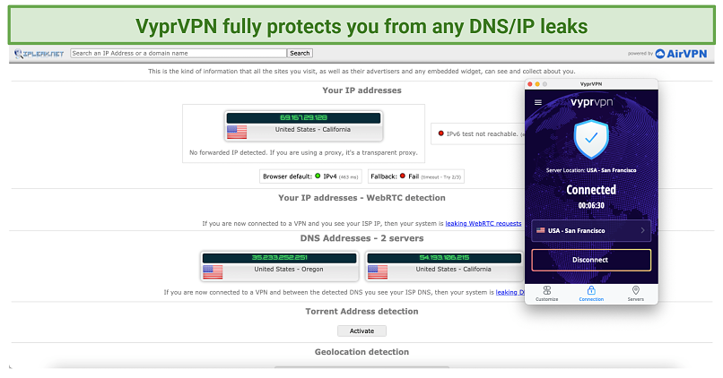 graphic showing DNS/IP leak test