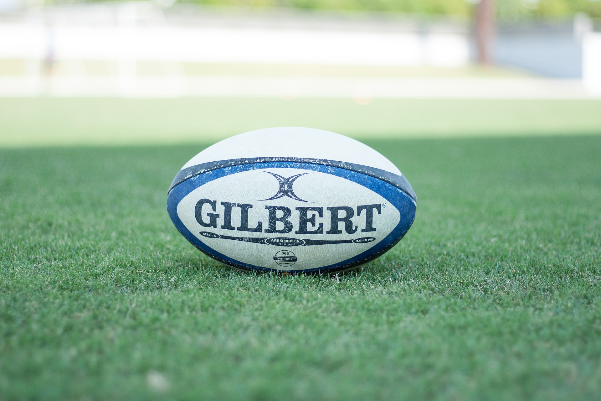 Rugby ball on a field