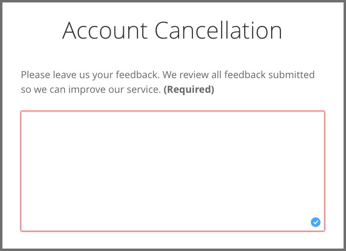 screenshot of VyprVPN's feedback form