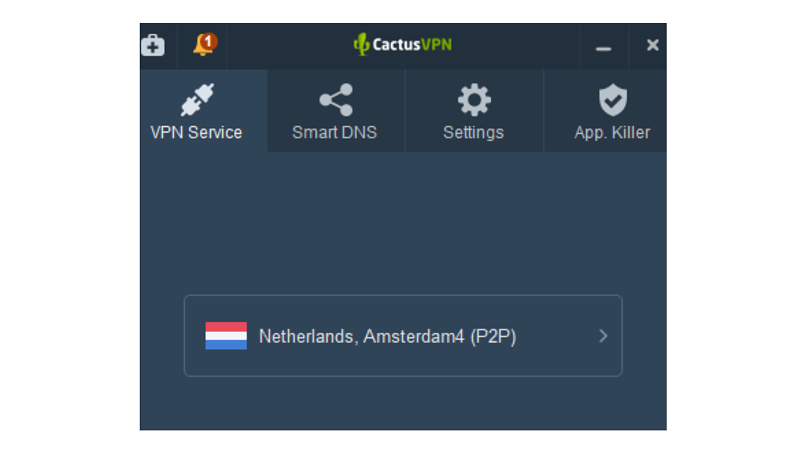 A screenshot of CactusVPN P2P servers