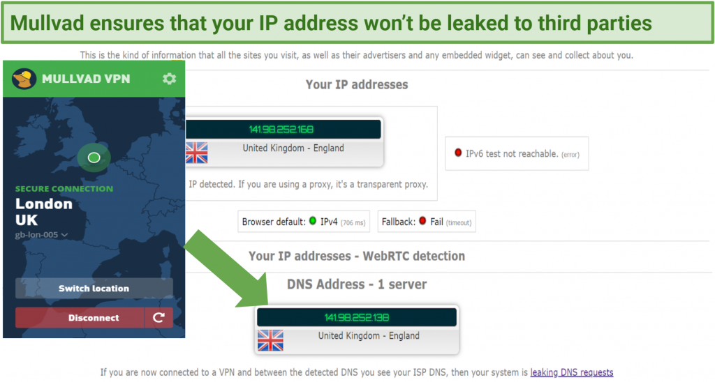 Graphic showing IP leaks test