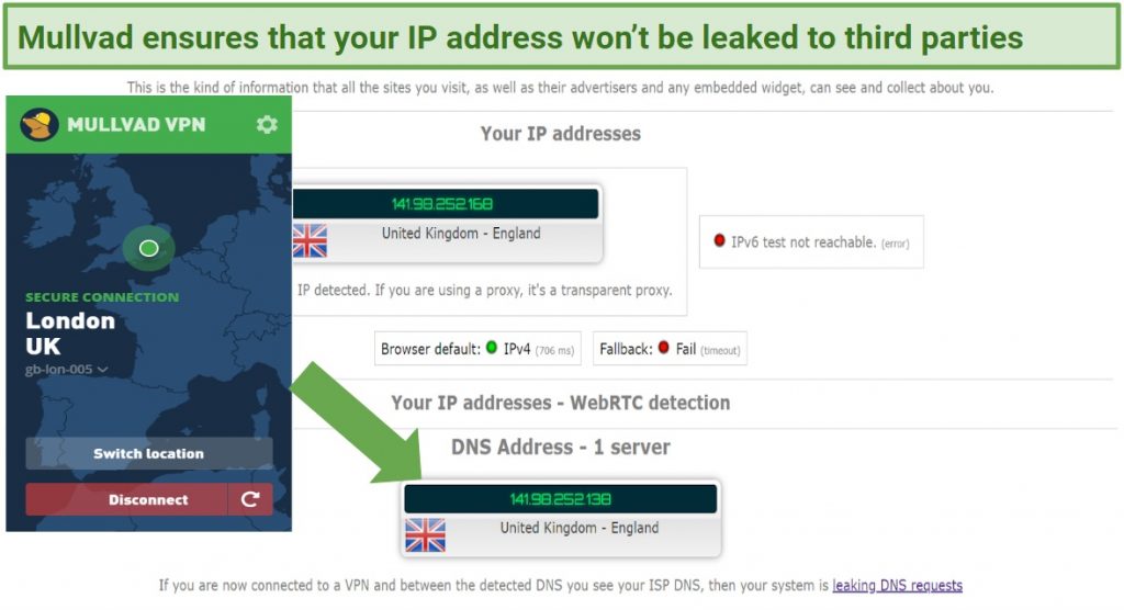 Graphic showing IP leaks test