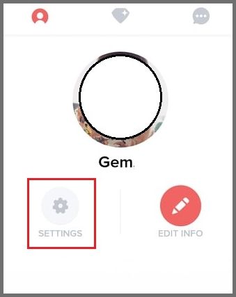 Permanently Deleting Tinder - Settings