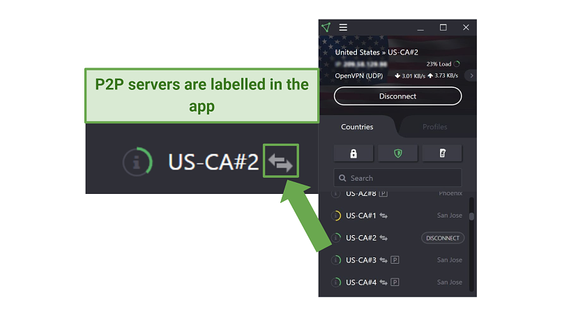 Screenshot of P2P servers in the ProtonVPN app