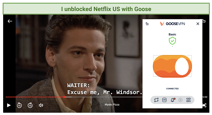 A screenshot showing Goose unblocking Netflix US