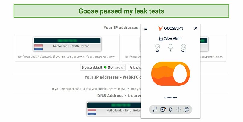A screenshot showing DNS leak test