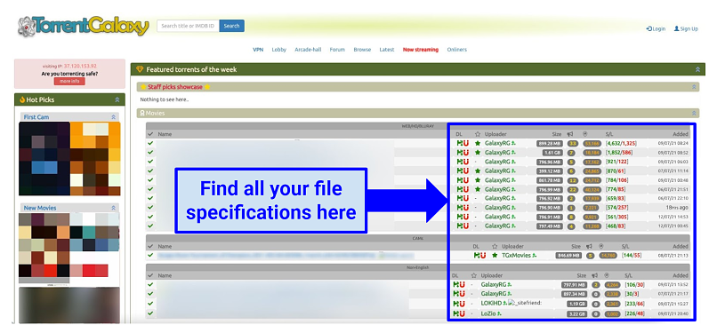 torrents requests log users raya pro 3.0