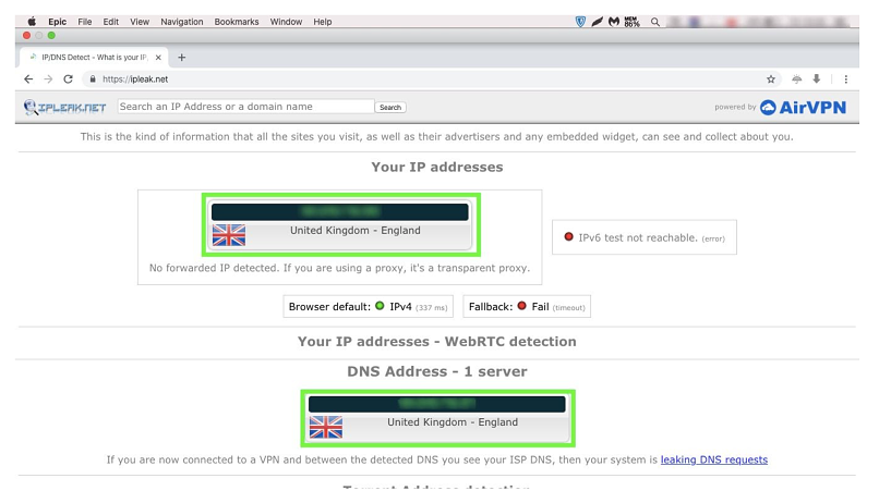 A screenshot of IP and DNS leak test results