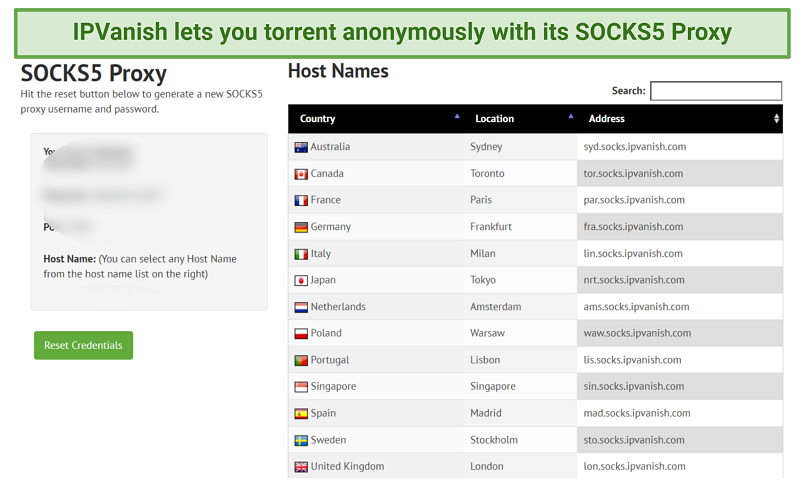 Screenshot of the IPVanish's SOCKS5 feature in the Control Panel