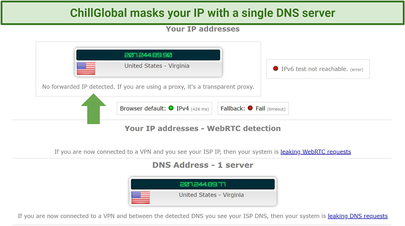 Screenshot of the IP test