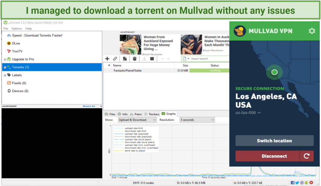 graphic showing torrenting activity using Mullvad VPN