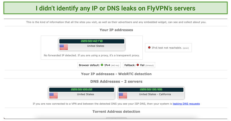 screenshot of FlyVPN's IP and DNS leak test