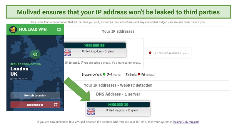 Graphic showing IP leaks test