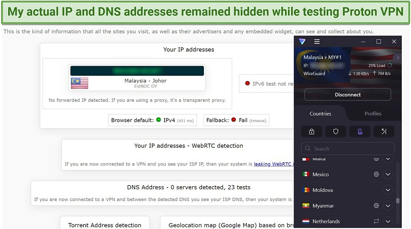 A screenshot showing Proton VPN passed DNS and IP leak tests