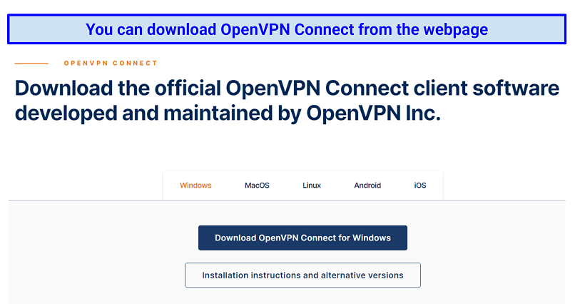 Image showing OpenVPN download options