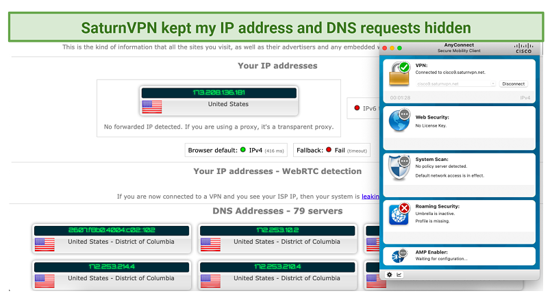 screenshot of SaturnVPN's IP and DNS test results