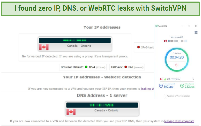 Screenshot of leak test results on SwitchVPN, showing that the VPN has no leaks.