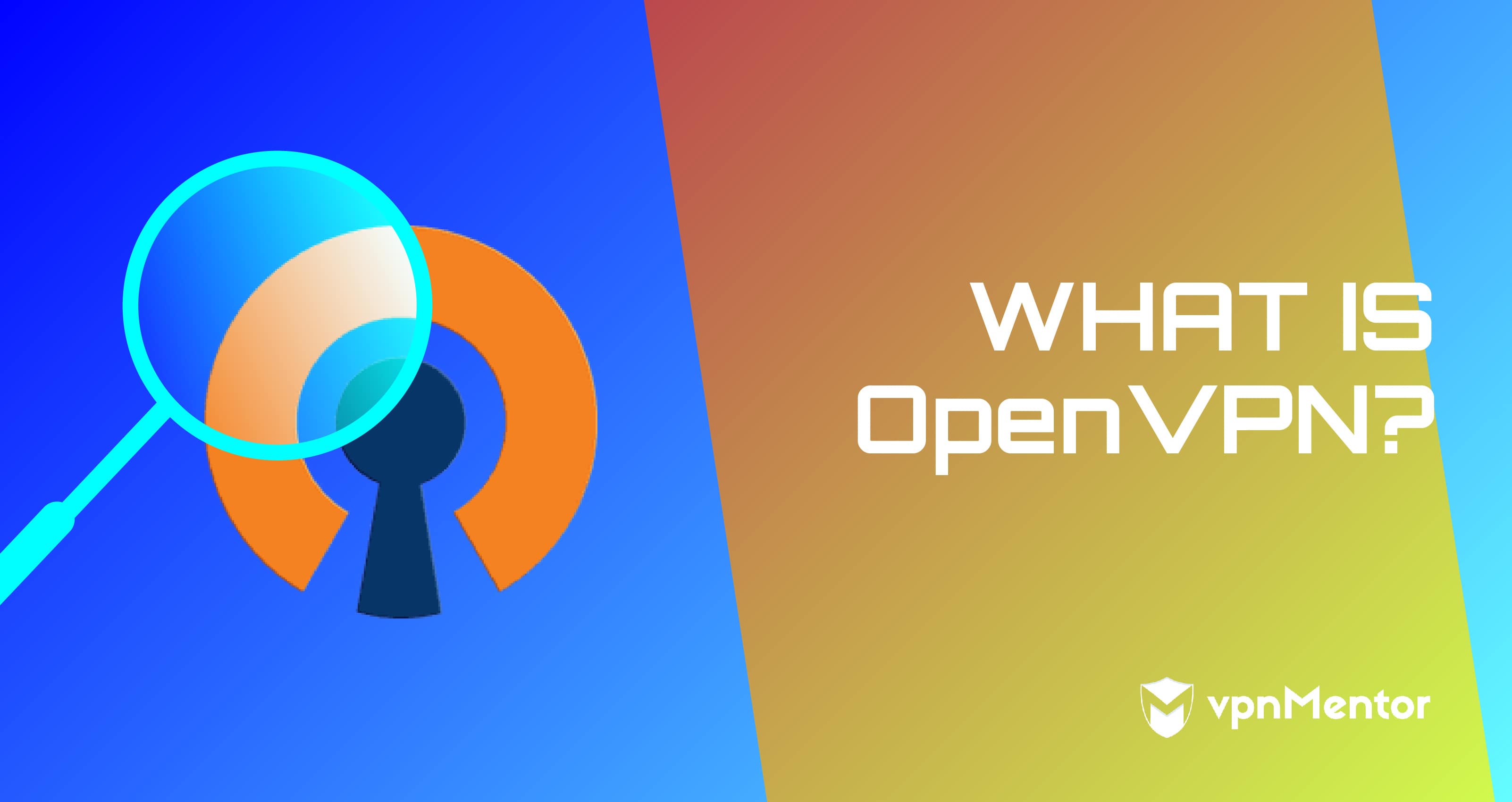 What Is OpenVPN and Should You Use It — How to Guide 2024