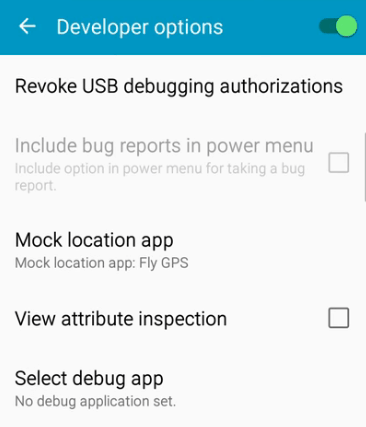 Developer Options Setting