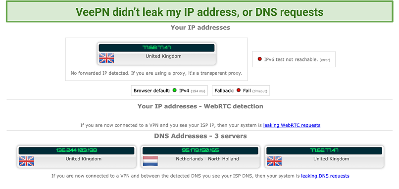 screenshot of VeePN's IP and DNS leak test