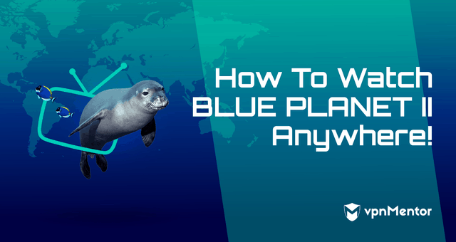 How to Watch Blue Planet II Free Online From Anywhere (2023)