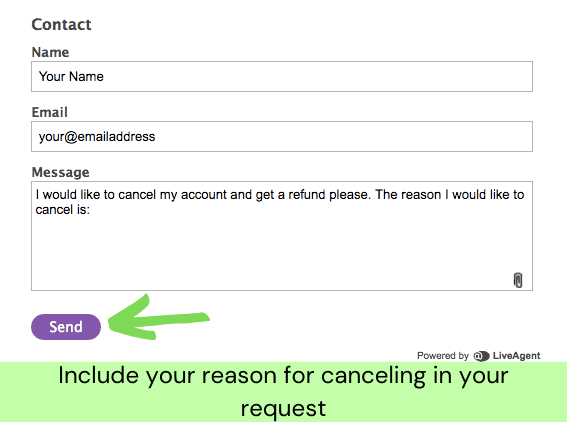PrivateVPN's contact form