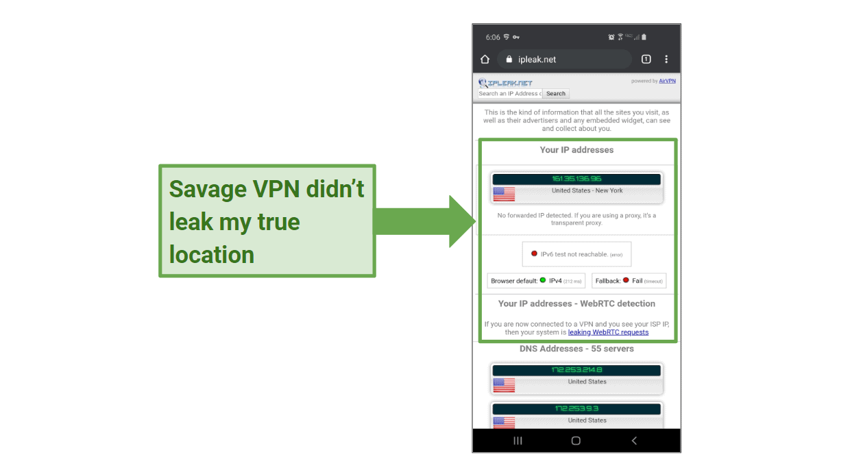IP leak test results for Savage VPN