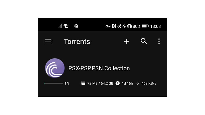 screenshot of PandaVPN P2P download