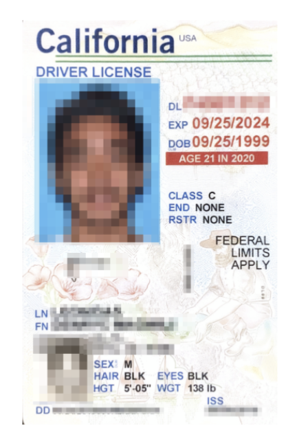 driving license