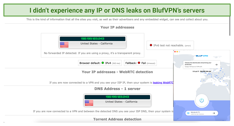 screenshot of BlufVPN's IP and DNS leak tests