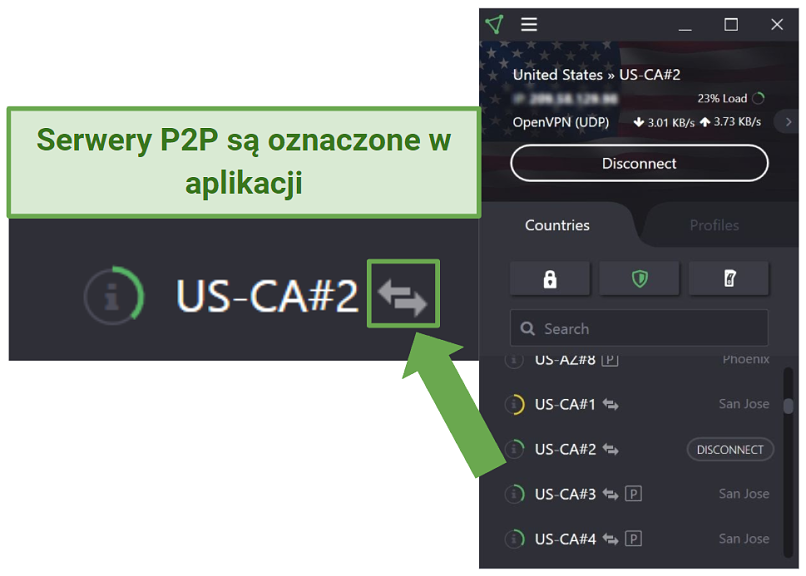 Screenshot of P2P servers in the ProtonVPN app