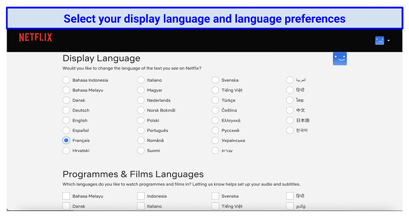 Graphic showing Netflix language settings