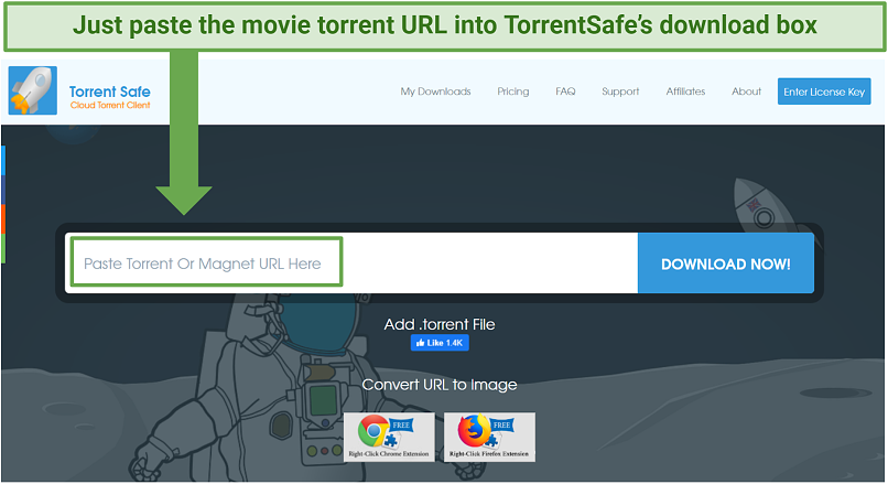graphic showing TorrentSafe's download bar